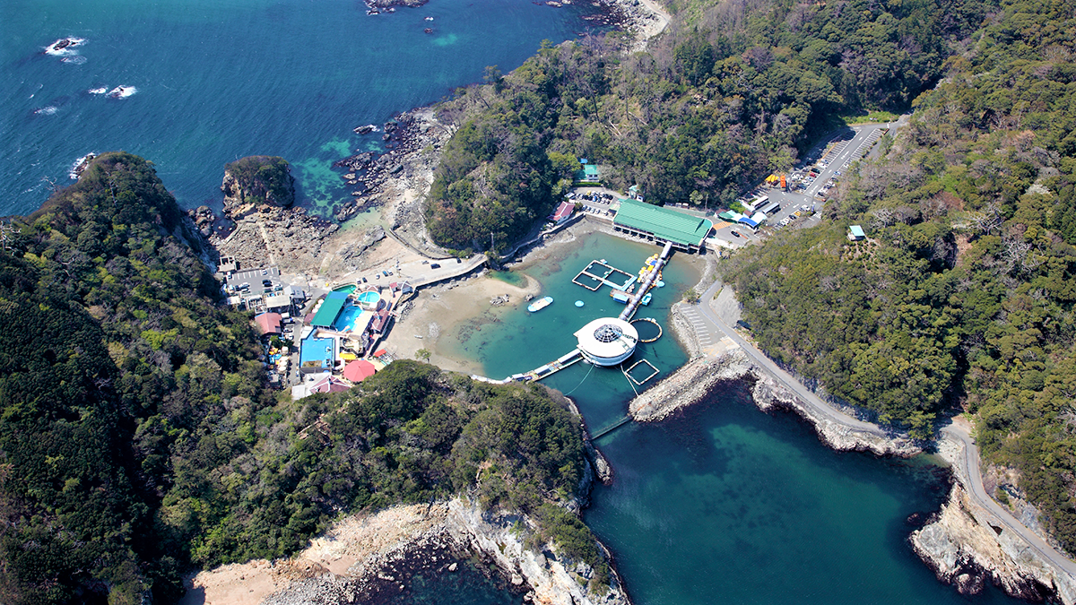 下田海中水族館➀.png
