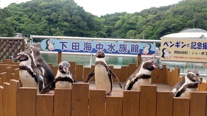 ペンギンと記念撮影.jpg