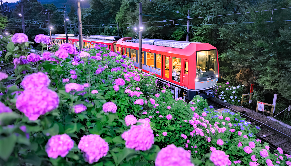 あじさい電車➀.png