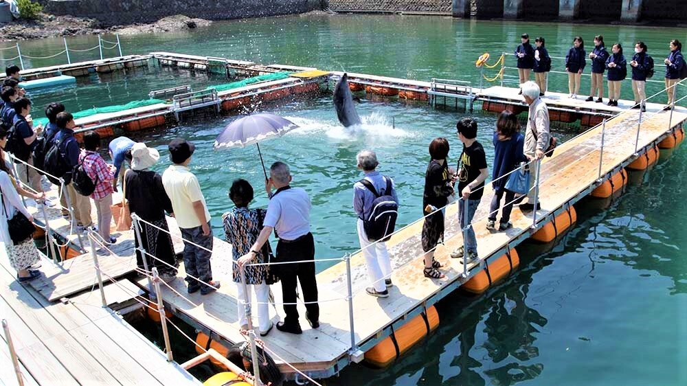 下田海中水族館④.jpg