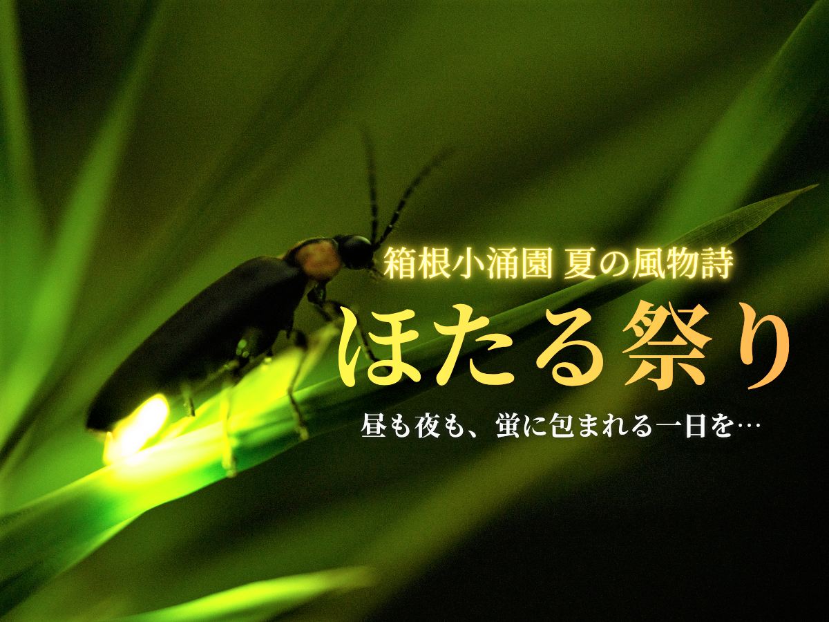 箱根小涌園-夏の風物詩.png